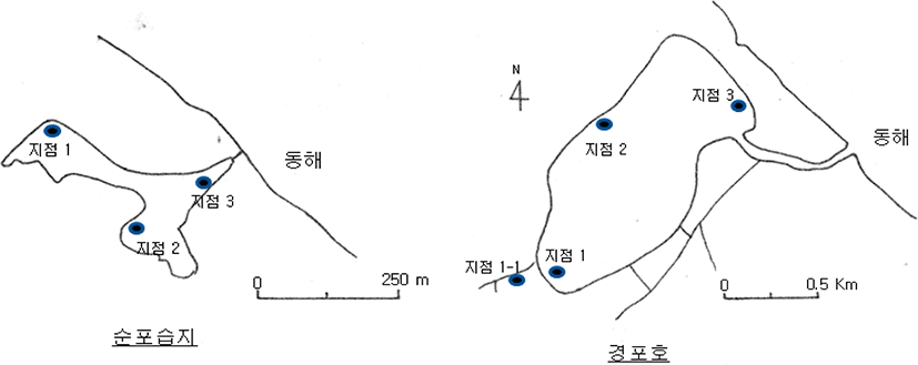 kjnc-17-1-1-g1