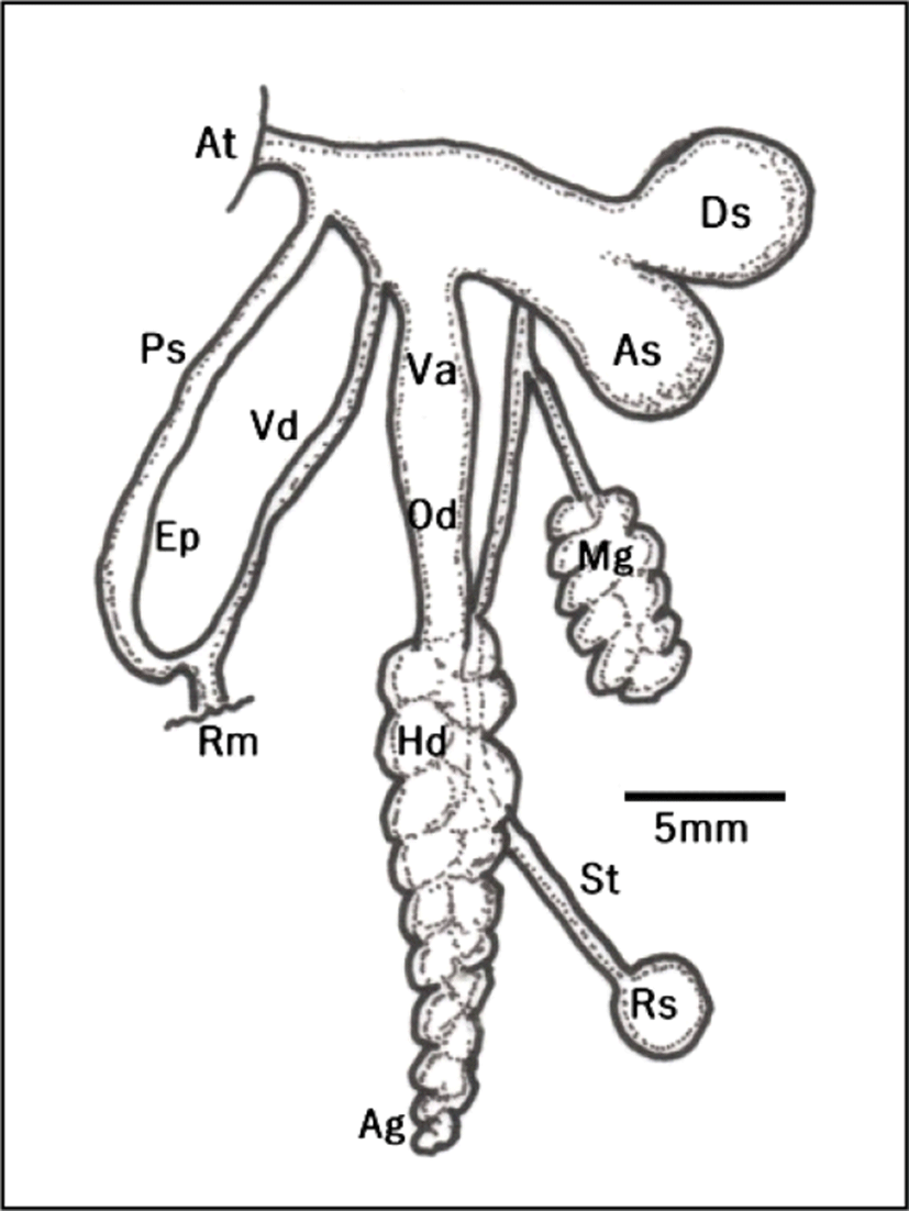 kjnc-19-1-1-g3